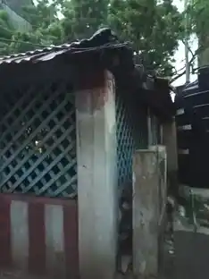 Arulmigu Krishnan Temple, Triplecane, Chennai - 600004 அருள்மிகு கிருஷ்ணன் கோவில், திருவல்லிக்கேணி, சென்னை - 600004, Chennai - Ancient Temple Architecture and History Image 4