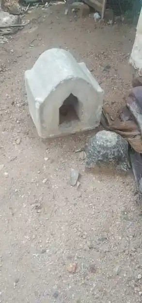 Arulmigu Krishnapuram Ayyanaar Temple, Kombaipatty - 624202 அருள்மிகு கிருஷ்ணாபுரம் அய்யனார் திருக்கோயில், Kombaipatty - 624202, Dindigul - Ancient Temple Architecture and History Image 2