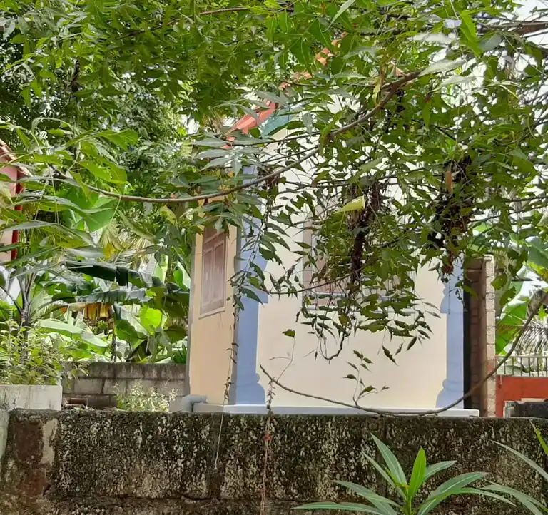 Arulmigu Krishnasamy Temple, Kuzhivilai, Padanthalumoodu - 629152 அருள்மிகு கிருஷ்ணசாமி திருக்கோயில், Kuzhivilai, Padanthalumoodu - 629152, Kanyakumari - Ancient Temple Architecture and History Image 2