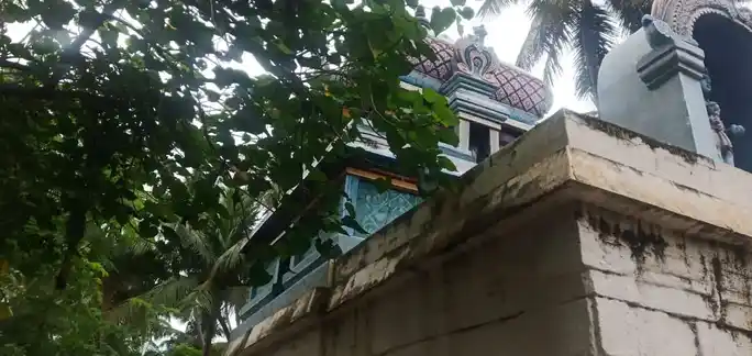 Arulmigu Krishnaswamy Perumal Temple, Thiruchirappalli - 620016 Arulmigu Krishnaswamy Perumal Temple, Thiruchirappalli - 620016, Thiruchirappalli - Ancient Temple Architecture and History Image 5