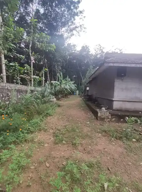 Arulmigu Krishnaswamy Temple, Cheruvalloor, Puliyoorsalai - 629170 Arulmigu Krishnaswamy Temple, Cheruvalloor, புலியூர்ச்சலை - 629170, Kanyakumari - Ancient Temple Architecture and History Image 8