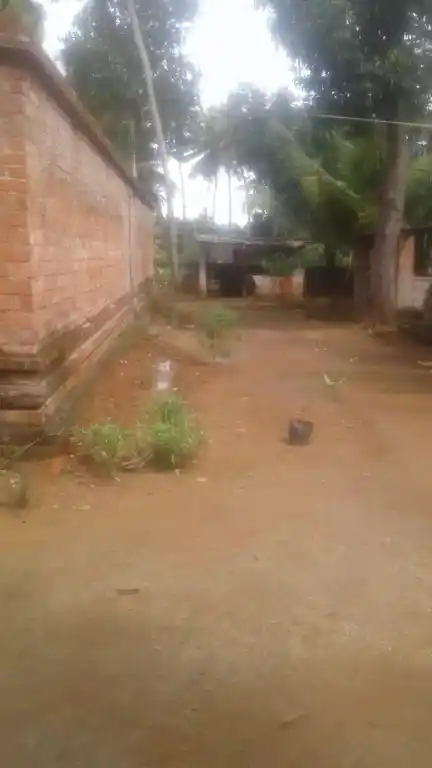 Arulmigu Krishnaswamytemple, Kannakkodu, Nallor - 629170 Arulmigu KrishnaswamyTemple, Kannakkodu, நல்லூர் - 629170, Kanyakumari - Ancient Temple Architecture and History Image 4