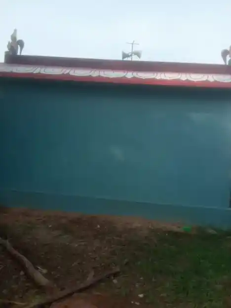 Arulmigu Krishnna Parameswari Temple, Near Lands, Bommarajupet - 631207 அருள்மிகு கிருஷ்ணபரமேஸ்வரி திருக்கோயில், Near Lands, Bommarajupet - 631207, Tiruvallur - Ancient Temple Architecture and History Image 2