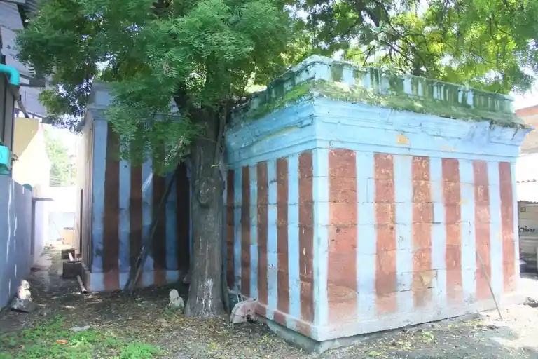 Arulmigu Kudanattamman And Santhana Mariamman Temple, Author Kasba - 628151 அருள்மிகு குடநாட்டம்மன் மற்றும் சந்தனமாரியம்மன் திருக்கோயில், Author Kasba - 628151, Thoothukudi - Ancient Temple Architecture and History Image 3