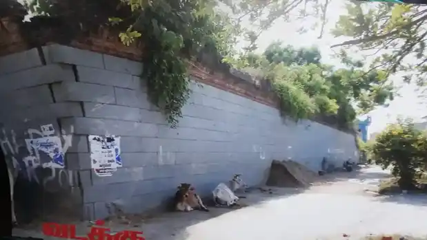 Arulmigu Kugai Varadarajaperumal Temple, Avoor Po - 604601 Arulmigu Kugai Varadarajaperumal Temple, Avoor Po - 604601, Tiruvannamalai - Ancient Temple Architecture and History Image 4