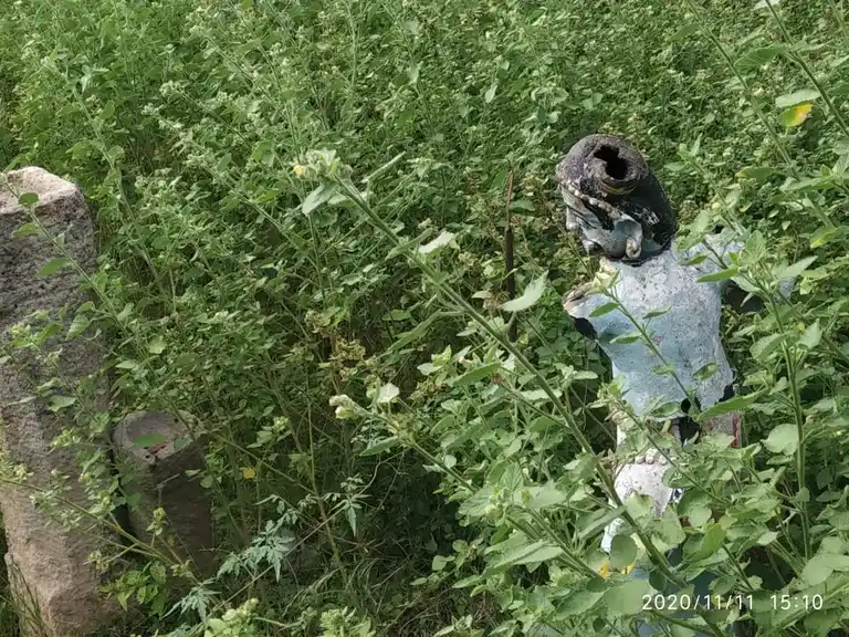 Arulmigu Kulakarai Ayyanar Temple, Valanadu - 621305 Arulmigu Kulakarai ayyanar Temple, Valanadu - 621305, Thiruchirappalli - Ancient Temple Architecture and History Image 2