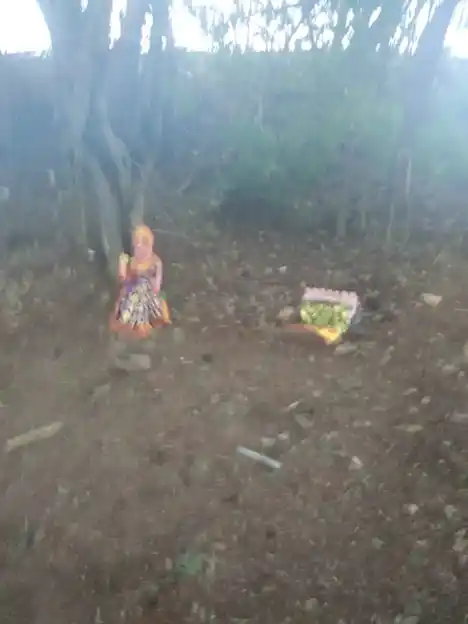 Arulmigu Kulakarai Pidari Temple, Pannankombu - 621304