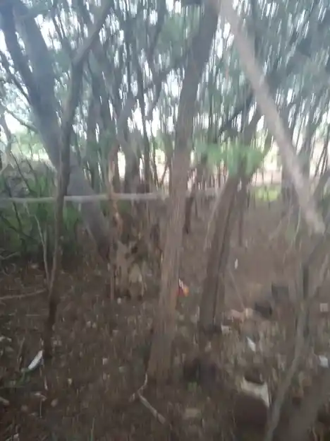 Arulmigu Kulakarai Pidari Temple, Pannankombu - 621304 Arulmigu Kulakarai Pidari Temple, Pannankombu - 621304, Thiruchirappalli - Ancient Temple Architecture and History Image 3