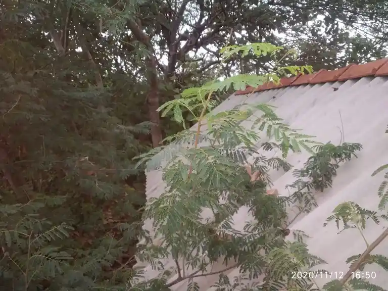 Arulmigu Kulakarai Pidari Temple, Piranpatti - 621305 Arulmigu Kulakarai Pidari Temple, Piranpatti - 621305, Thiruchirappalli - Ancient Temple Architecture and History Image 4