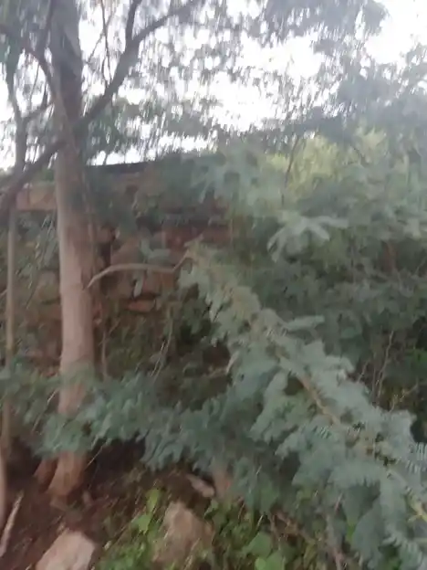 Arulmigu Kulakkarai Pidari Temple, Pichampatti, Pichampatti - 621302