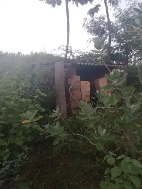 Arulmigu Kulakkarai Pidari Temple, Pichampatti, Pichampatti - 621302 Arulmigu Kulakkarai Pidari Temple, Pichampatti, Pichampatti - 621302, Thiruchirappalli - Ancient Temple Architecture and History Image 2