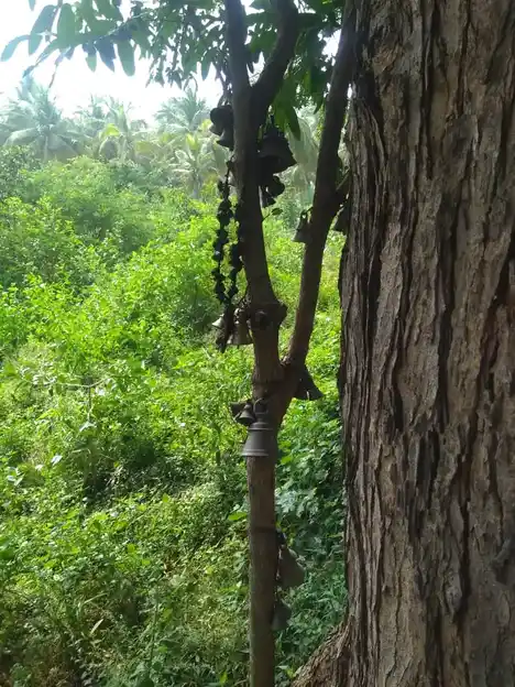 Arulmigu Kulam Servai Ayyanar Temple, Senthamangalam - 625503