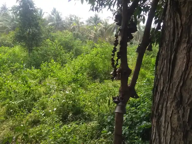 Arulmigu Kulam Servai Ayyanar Temple, Senthamangalam - 625503 குளம் சேர்வை அய்யனார் கோயில், Senthamangalam - 625503, Madurai - Ancient Temple Architecture and History Image 4