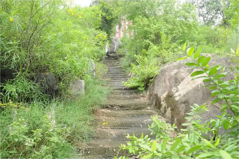 Arulmigu Kulanthai Velayudhasamy Temple, Kurunthamalai, Thekampatti - 641104 அருள்மிகு குழந்தை வேலாயுதசுவாமி திருக்கோயில்,  - 641104, Coimbatore - Ancient Temple Architecture and History Image 3