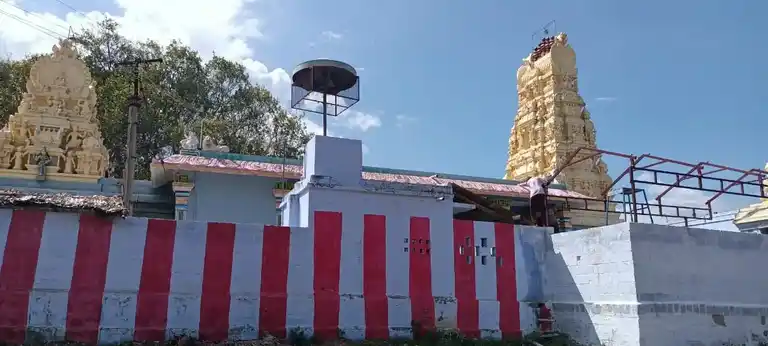 Arulmigu Kulasakaranangaiamman Temple, Nainaragaram - 627804 அருள்மிகு குலசேகரநங்கையம்மன் திருக்கோயில், Nainaragaram - 627804, Tenkasi - Ancient Temple Architecture and History Image 5