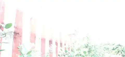 Arulmigu Kulasekara Raja and Yuva Raja Temple, Arugankulam, Arugankulam - 627357 அருள்மிகு குலசேகரராஜா மற்றும் யுவராஜா திருக்கோயில், அருகன்குளம், அருகன்குளம் - 627357, Tirunelveli - Ancient Temple Architecture and History Image 3