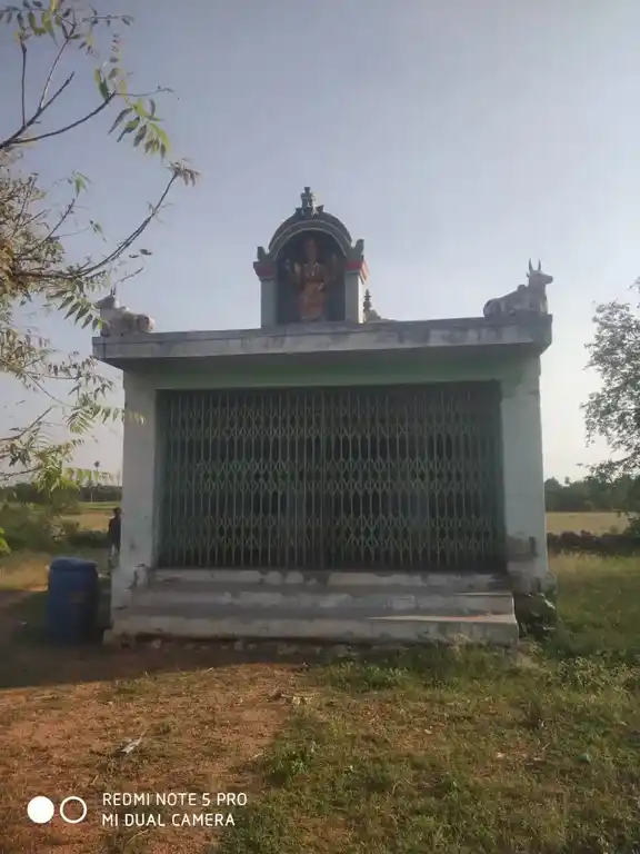 Arulmigu Kulathur Chellandiamman Temple, Kulathoor - 624703