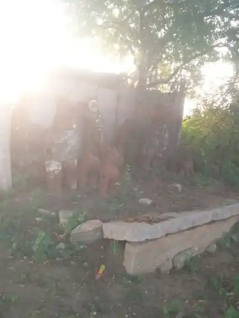 Arulmigu Kullagoundanoor Muniyappan Temple, Kullagoundanur - 624620 Arulmigu Kullagoundanoor Muniyappan Temple, Kullagoundanur - 624620, Dindigul - Ancient Temple Architecture and History Image 3