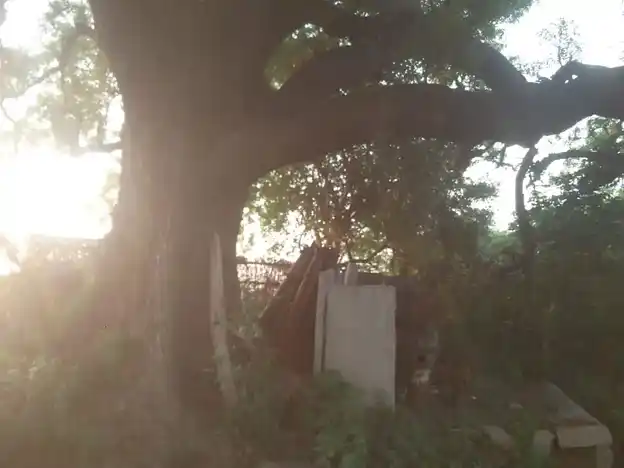 Arulmigu Kullagoundanoor Muniyappan Temple, Kullagoundanur - 624620 Arulmigu Kullagoundanoor Muniyappan Temple, Kullagoundanur - 624620, Dindigul - Ancient Temple Architecture and History Image 7