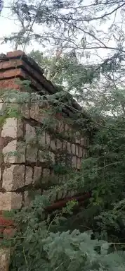 Arulmigu Kulothunganathar Temple, Aathanakottai, Pudukkottai Taluk - 622203 அருள்மிகு குலோத்துங்கநாதர் திருக்கோயில், ஆதனக்கோட்டை, புதுக்கோட்டை வட்டம் - 622203, Pudukkottai - Ancient Temple Architecture and History Image 2