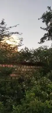 Arulmigu Kulothunganathar Temple, Aathanakottai, Pudukkottai Taluk - 622203 அருள்மிகு குலோத்துங்கநாதர் திருக்கோயில், ஆதனக்கோட்டை, புதுக்கோட்டை வட்டம் - 622203, Pudukkottai - Ancient Temple Architecture and History Image 4