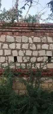 Arulmigu Kulothunganathar Temple, Aathanakottai, Pudukkottai Taluk - 622203 அருள்மிகு குலோத்துங்கநாதர் திருக்கோயில், ஆதனக்கோட்டை, புதுக்கோட்டை வட்டம் - 622203, Pudukkottai - Ancient Temple Architecture and History Image 5