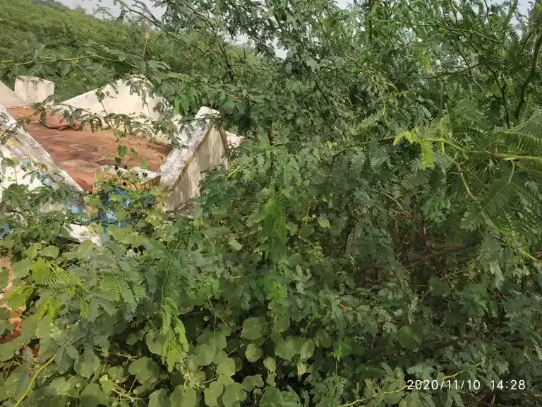 Arulmigu Kulumikaruppaswamy Temple, Ayanporuvai - 621305 Arulmigu Kulumikaruppaswamy Temple, Ayanporuvai - 621305, Thiruchirappalli - Ancient Temple Architecture and History Image 4