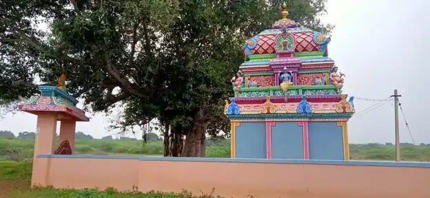 Arulmigu Kumara Kanapathy Temple, Palavankudi - 630208 அருள்மிகு குமார கணபதி திருக்கோயில், Palavankudi - 630208, Sivagangai - Ancient Temple Architecture and History Image 5