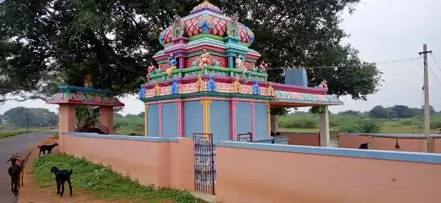 Arulmigu Kumara Kanapathy Temple, Palavankudi - 630208 அருள்மிகு குமார கணபதி திருக்கோயில், Palavankudi - 630208, Sivagangai - Ancient Temple Architecture and History Image 6