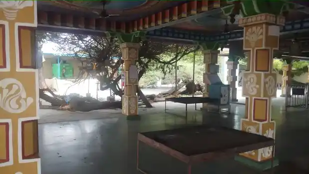 Arulmigu Kumarakadavul Entra Subramaniyaswamy Temple, Melakodumalur - 623601 அருள்மிகு குமரக்கடவுள் என்ற சுப்பிரமணியசுவாமி திருக்கோயில், Melakodumalur - 623601, Ramanathapuram - Ancient Temple Architecture and History Image 6