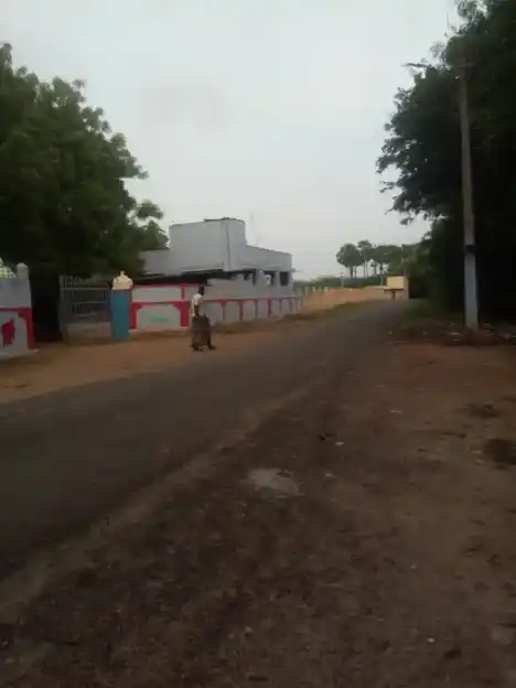 Arulmigu Kumaran Temple, Nalankudi - 628601 அருள்மிகு குமரன் திருக்கோயில், Nalankudi - 628601, Thoothukudi - Ancient Temple Architecture and History Image 2