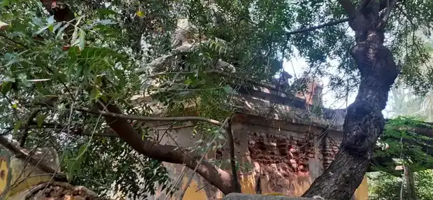 Arulmigu Kumarapillaiyar Temple, Punjaikadambankuruchi - 639114