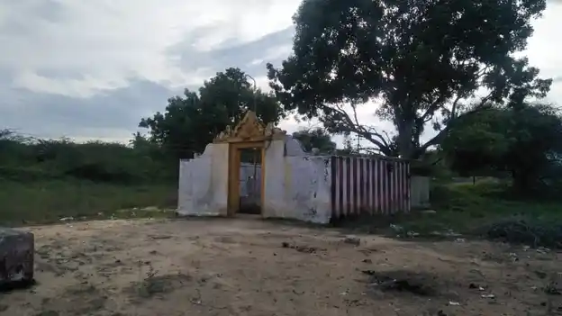 Arulmigu Kunanatheeswarar Temple, Sirakikottai - 623707 அருள்மிகு குணநந்தீஸ்வரர் திருக்கோயில், சிறகிக்கோட்டை - 623707, Ramanathapuram - Ancient Temple Architecture and History Image 4