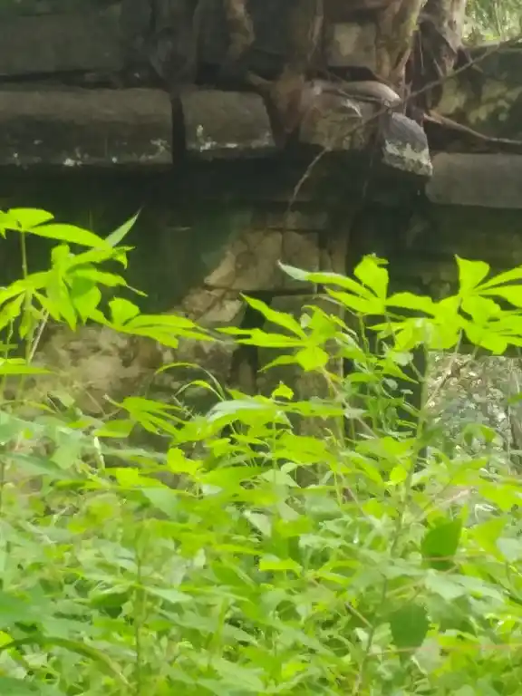 Arulmigu Kundala Sastha Temple, Kizhakku Kottai, Padmanabhapuram - 629175 Arulmigu Kundala Sastha Temple, Kizhakku Kottai, Padmanabhapuram - 629175, Kanyakumari - Ancient Temple Architecture and History Image 2