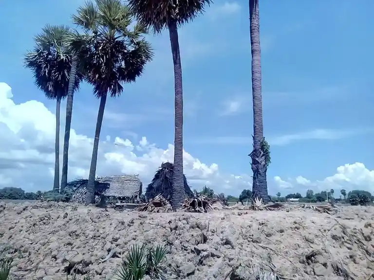Arulmigu Kuratthiyamman Temple, Keeranur - 614620 Arulmigu Kuratthiyamman Temple, Keeranur - 614620, Pudukkottai - Ancient Temple Architecture and History Image 2