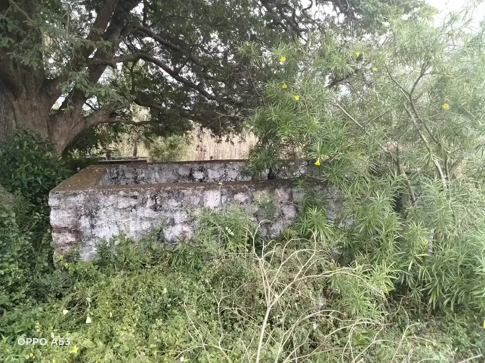 Arulmigu Kurichi Parai Kandan Sastha Temple, Aaladi, Ananthapuram - 629851 Arulmigu Kurichi Parai Kandan Sastha Temple, Aaladi, அனந்தபுரம் - 629851, Kanyakumari - Ancient Temple Architecture and History Image 3