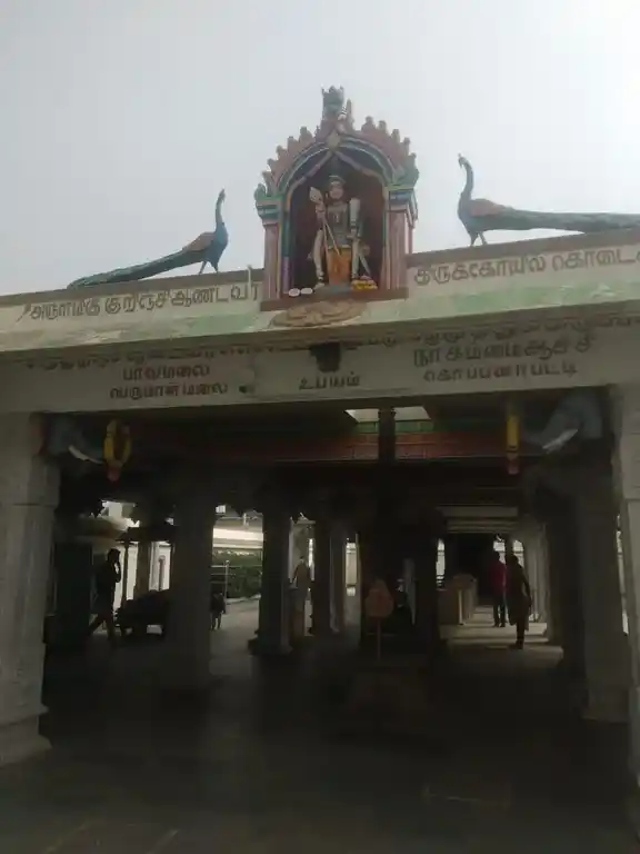 Arulmigu Kurinji Andavar Temple, Kodaikanal - 624103 அருள்மிகு குறிஞ்சி ஆண்டவர் திருக்கோவில், கொடைக்கானல் - 624103, Dindigul - Ancient Temple Architecture and History Image 3