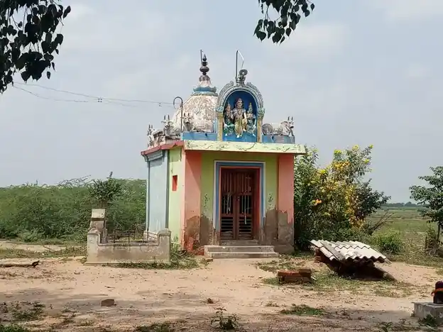 Arulmigu Kuruntharudaiya Ayyanar Temple, Therkukeeranur - 630710 Temple