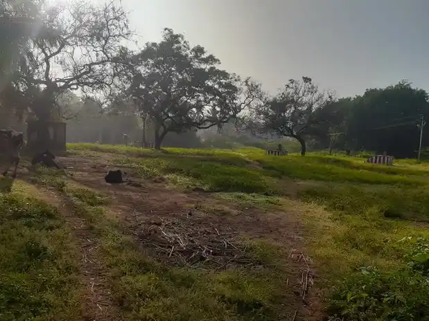 Arulmigu Kuthandavar Temple, Adhiyur - 635602 அருள்மிகு கூத்தான்டவர் திருக்கோயில், ஆதியூர் - 635602, Thirupathur - Ancient Temple Architecture and History Image 2