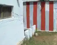 Arulmigu Kutrala Nangai Amman Temple, -, Poolankudiruppu - 627803 அருள்மிகு குற்றால நங்கையம்மன் திருக்கோயில், -, Poolankudiruppu - 627803, Tenkasi - Ancient Temple Architecture and History Image 3