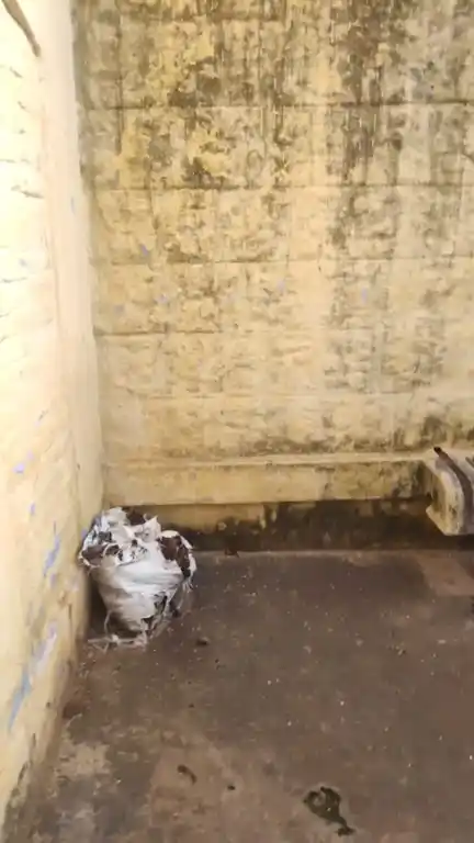 Arulmigu Kuttipillaiyar Temple, Kamayakavundanpatti - 625502 அருள்மிகு குட்டிப்பிள்ளையார் திருக்கோயில், Kamayakavundanpatti - 625502, Theni - Ancient Temple Architecture and History Image 3