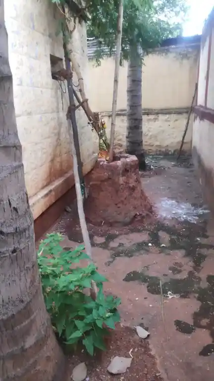 Arulmigu Kuttipillaiyar Temple, Kamayakavundanpatti - 625502 அருள்மிகு குட்டிப்பிள்ளையார் திருக்கோயில், Kamayakavundanpatti - 625502, Theni - Ancient Temple Architecture and History Image 5