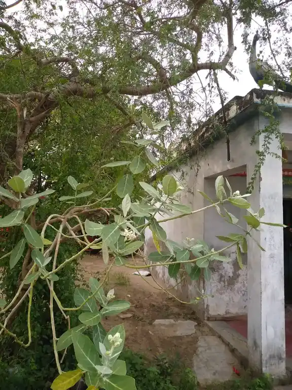 Arulmigu Kuzhandhai Velmurugan Temple, Thopiruppu - 608502 அருள்மிகு குழந்தைவேல்முருகன் திருக்கோயில், Thopiruppu - 608502, Cuddalore - Ancient Temple Architecture and History Image 3