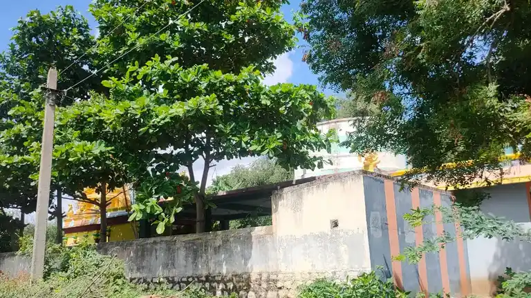 Arulmigu Lakshiminarayanaperumal Temple, Ayyangkovilpattu - 605601 அருள்மிகு லட்சுமிநாராயணப்பெருமாள் திருக்கோயில், Ayyangkovilpattu - 605601, Viluppuram - Ancient Temple Architecture and History Image 4