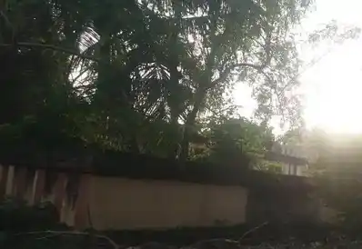 Arulmigu Lakshiminarayanaperumal Temple, Eraiyur - 607201 அருள்மிகு லட்சுமிநாராயணப்பெருமாள் திருக்கோயில், Eraiyur - 607201, Viluppuram - Ancient Temple Architecture and History Image 3