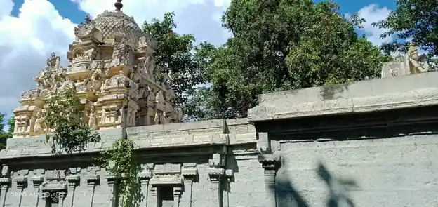 Arulmigu Lakshiminarayanaperumal Temple, Palliputhupattu - 605106 அருள்மிகு லட்சுமிநாராயணப் பெருமாள் திருக்கோயில், Palliputhupattu - 605106, Viluppuram - Ancient Temple Architecture and History Image 3