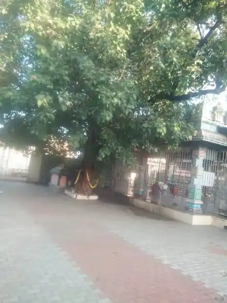 Arulmigu Lakshmi Amman Temple, Redhills, Chennai - 600052 அருள்மிகு லட்சுமியம்மன் திருக்கோயில், செங்குன்றம், சென்னை - 600052, Chennai - Ancient Temple Architecture and History Image 5