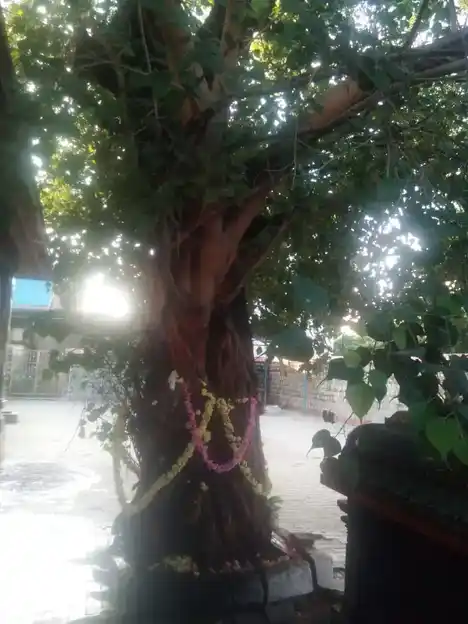 Arulmigu Lakshmi Amman Temple, Redhills, Chennai - 600052 அருள்மிகு லட்சுமியம்மன் திருக்கோயில், செங்குன்றம், சென்னை - 600052, Chennai - Ancient Temple Architecture and History Image 8