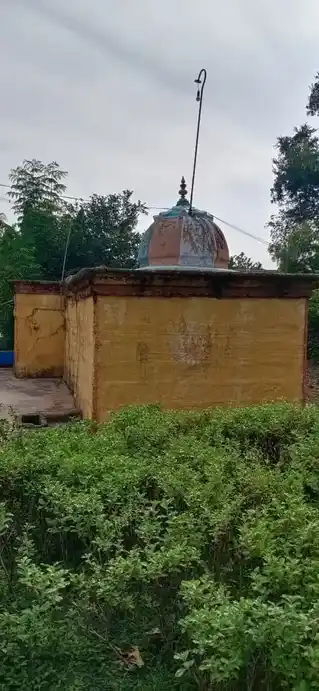 Arulmigu Lakshmi Naarayapperumal Temple, Neerpalani - 622515 அருள்மிகு லெட்சுமிநாராயணப் பெருமாள் திருக்கோயில், நீர்பழனி - 622515, Pudukkottai - Ancient Temple Architecture and History Image 5