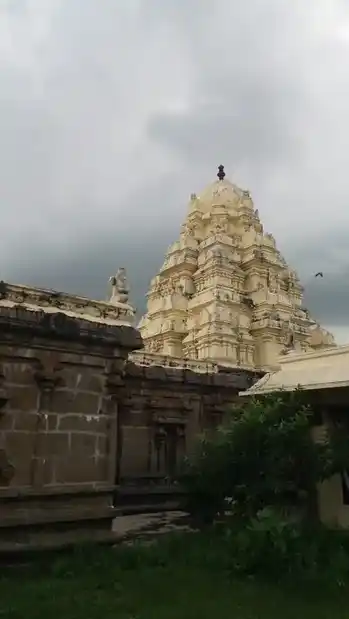 Arulmigu Lakshmi Narasima Swami Temple, Sevilimedu - 631502 அருள்மிகு லட்சுமி நரசிம்ம ஸ்வாமி திருக்கோயில், Sevilimedu - 631502, Kancheepuram - Ancient Temple Architecture and History Image 2